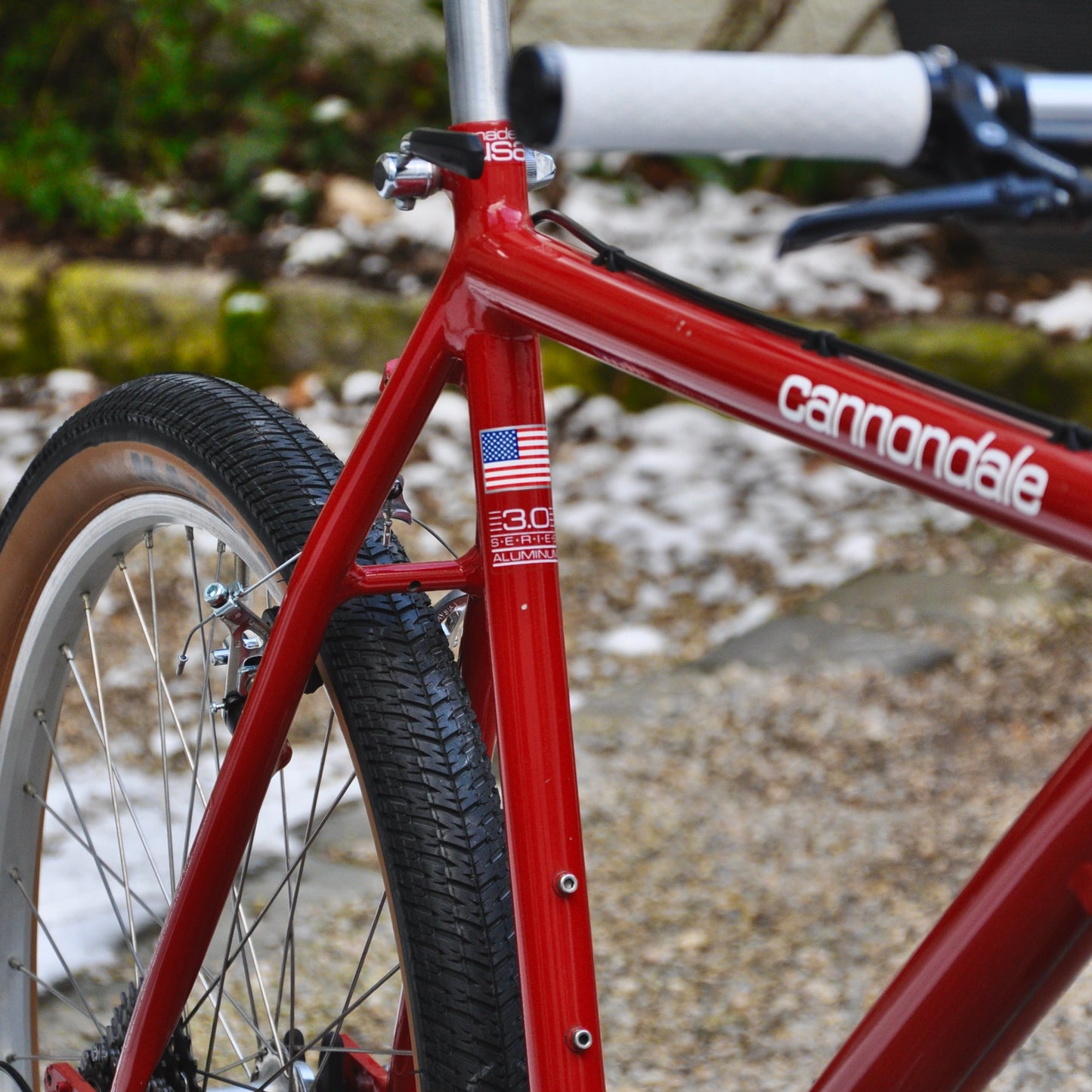 Pamela Cannondale