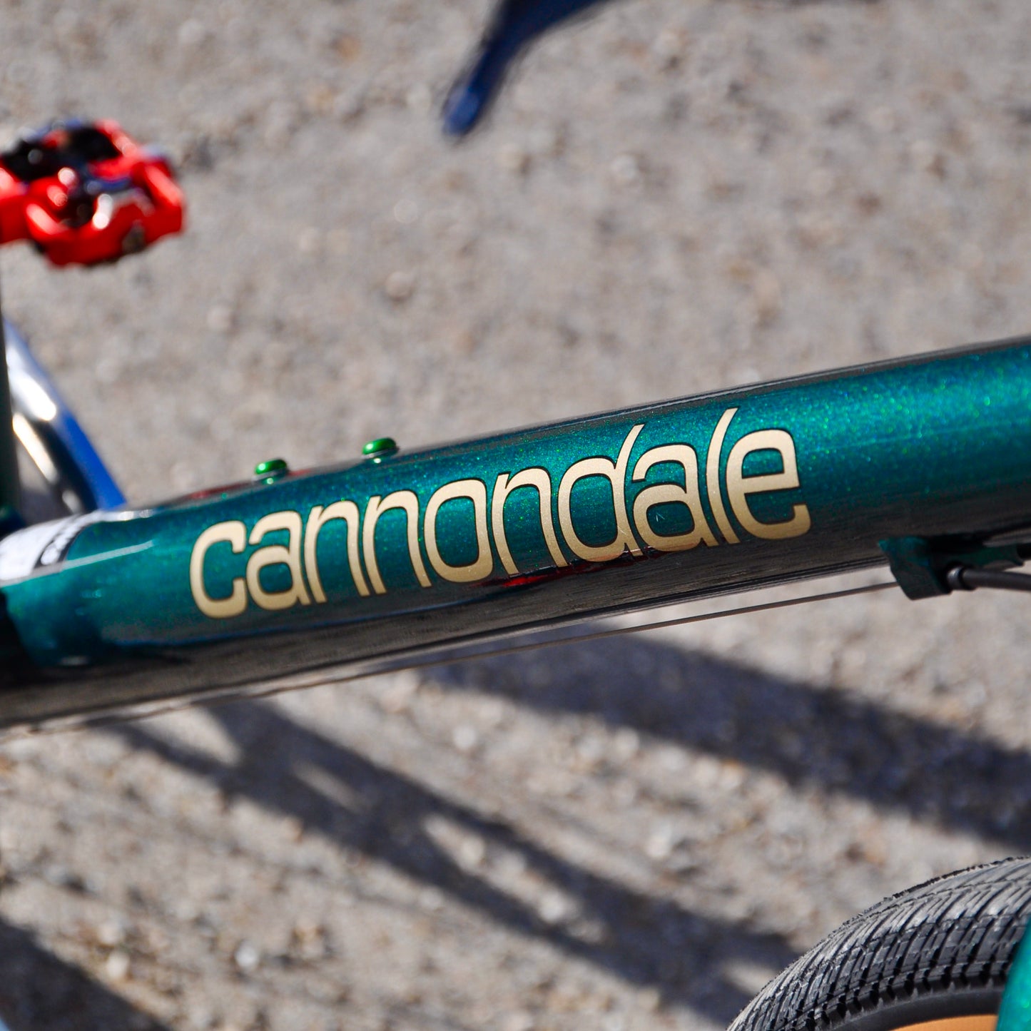 Cordula Cannondale 'Turbo'