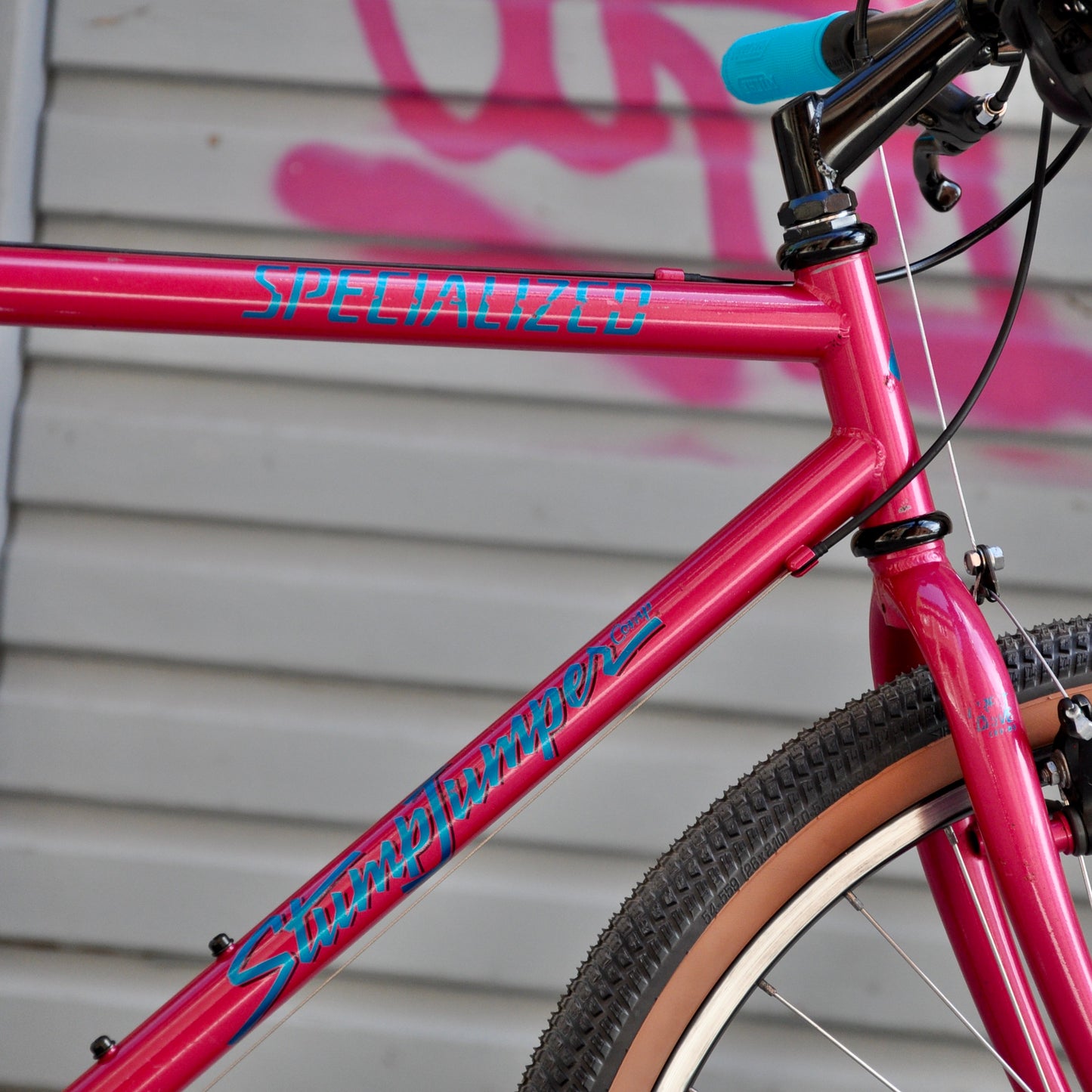 Stacy Stumpjumper