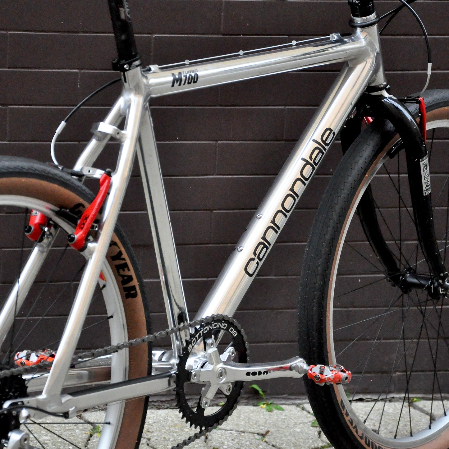 Sylvie Cannondale