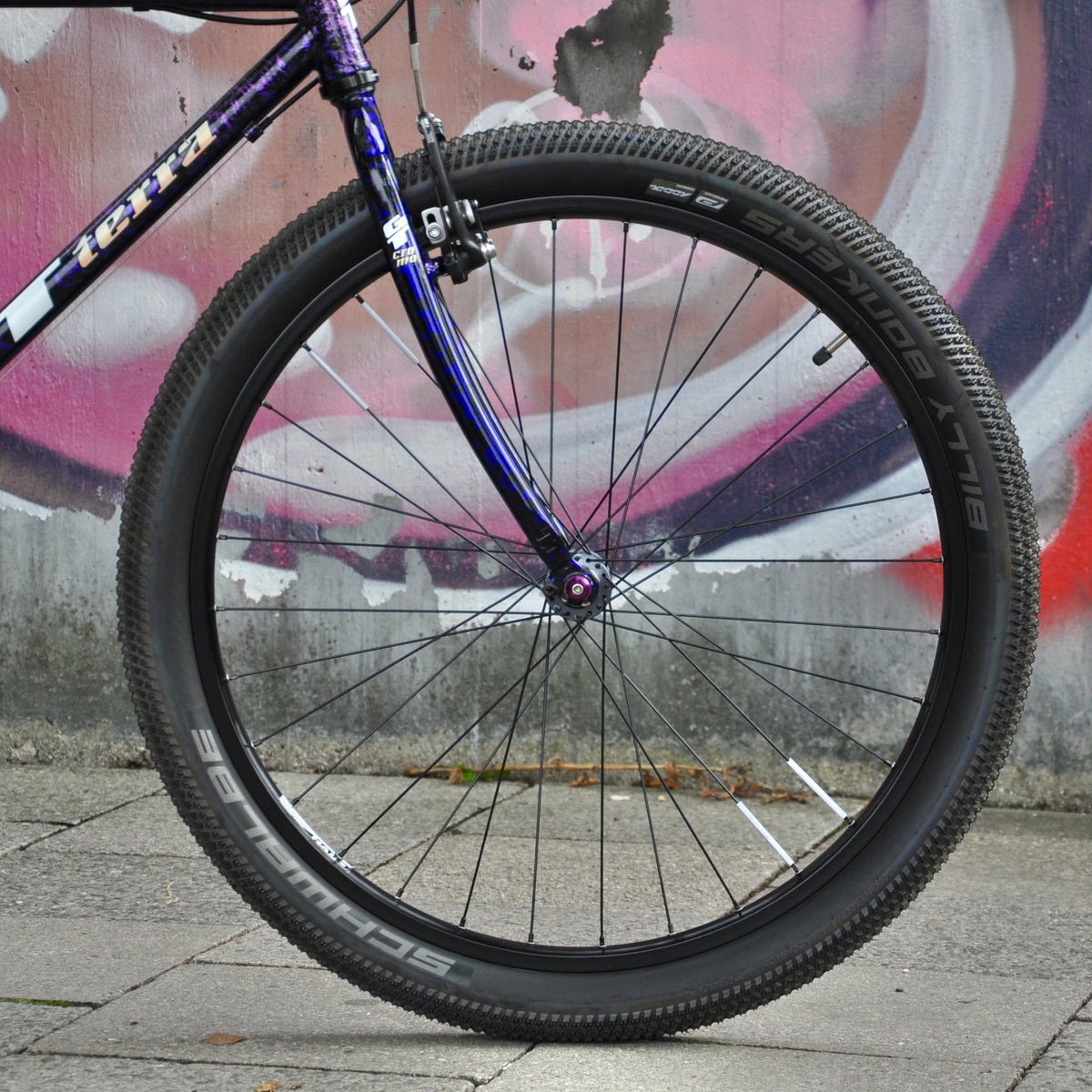 Gina GT