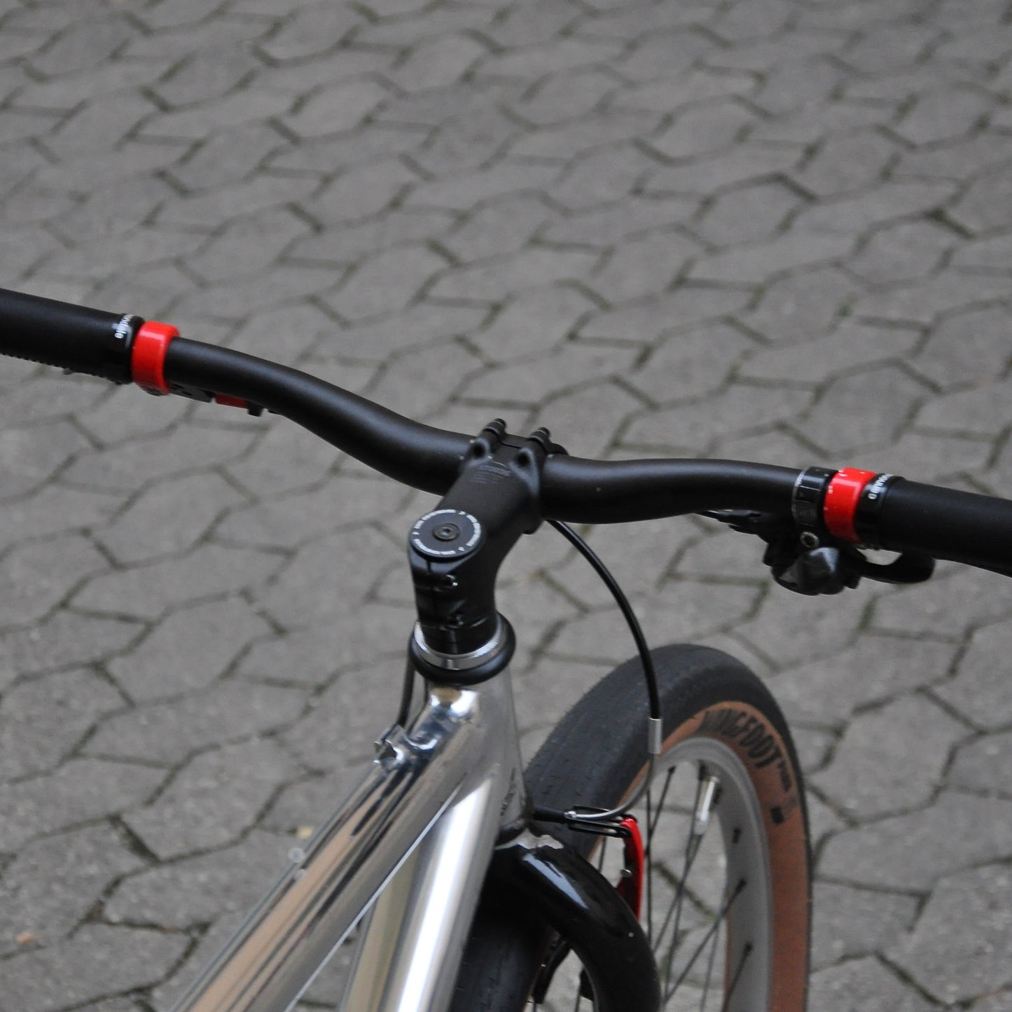 Sylvie Cannondale