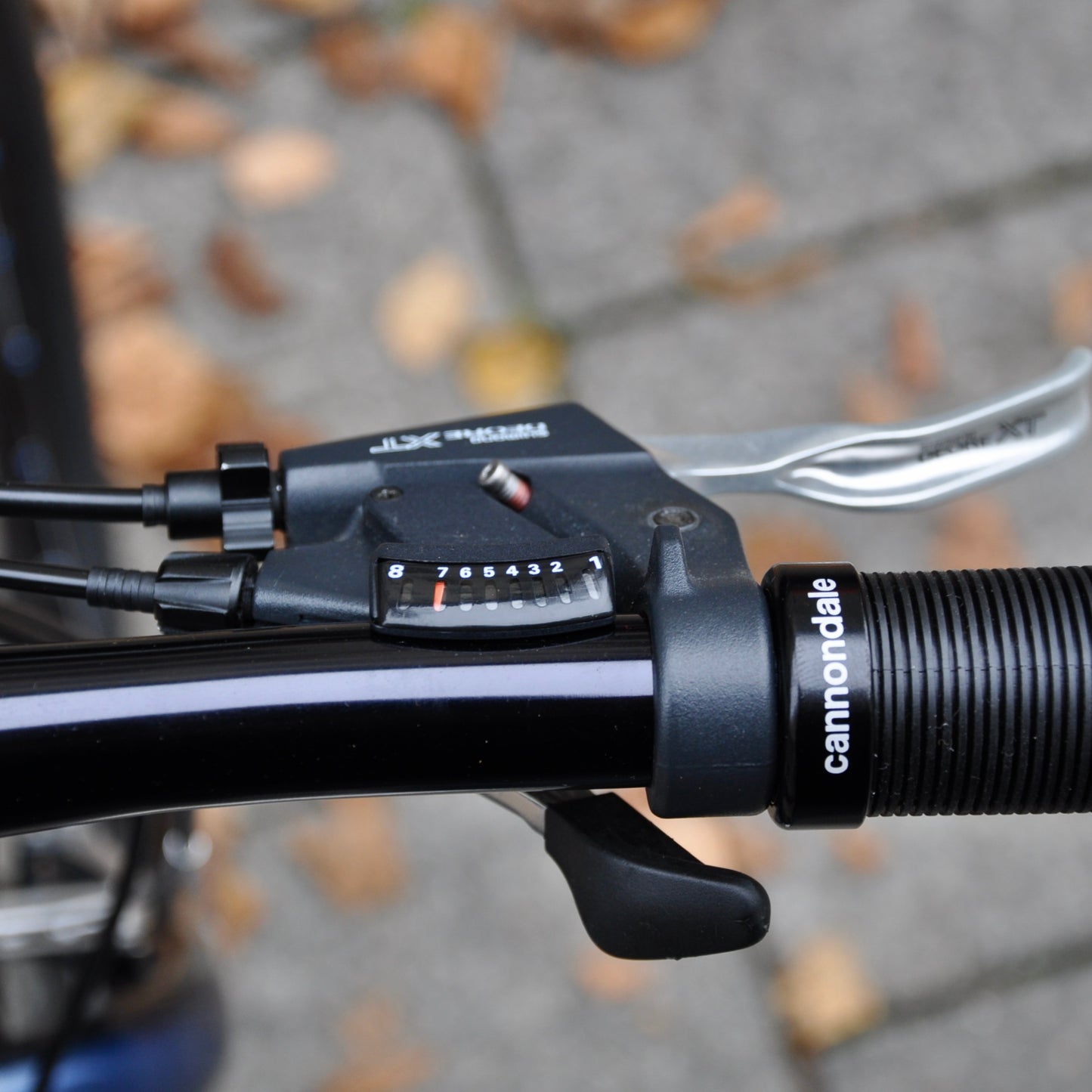 Beastie Cannondale