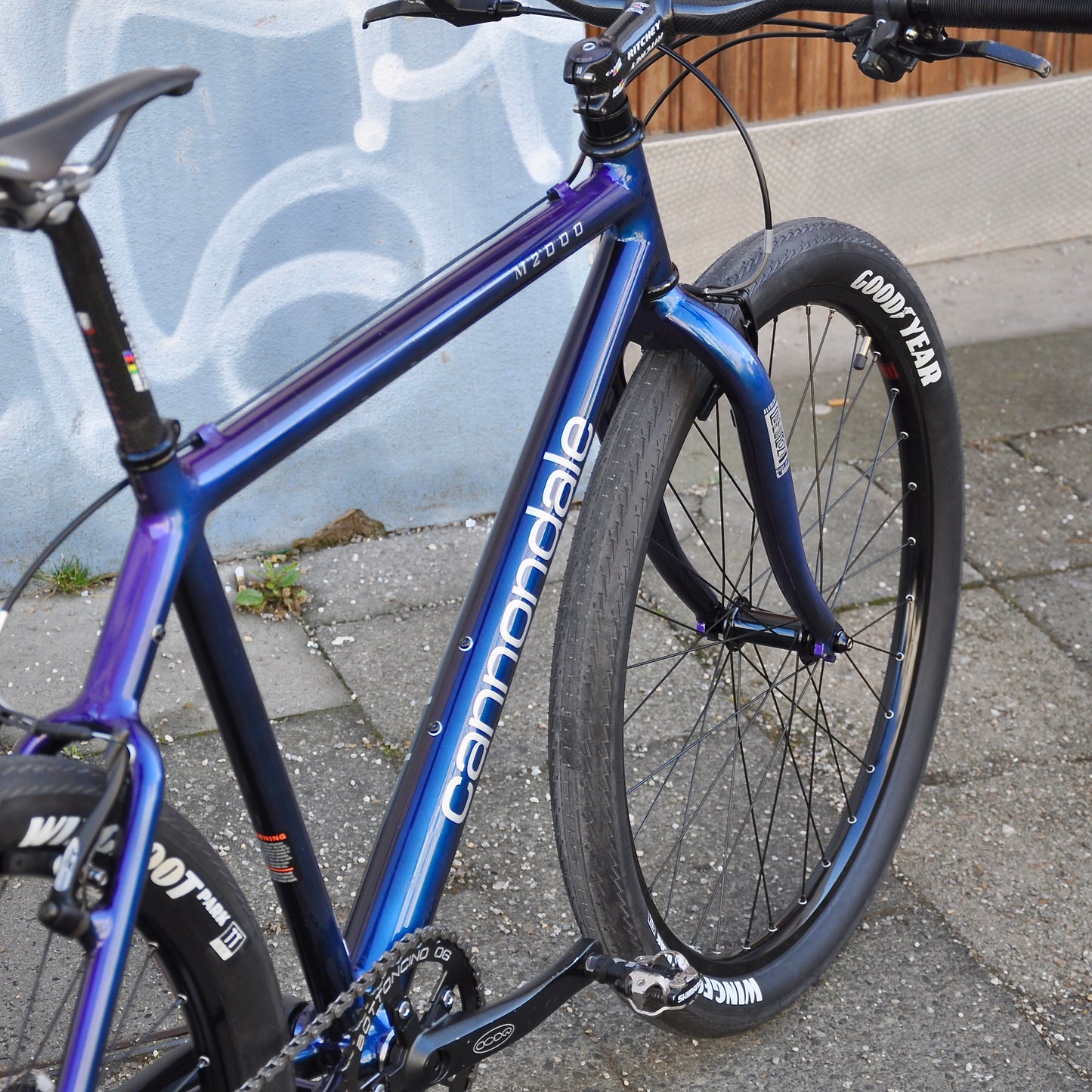 Coralie Cannondale
