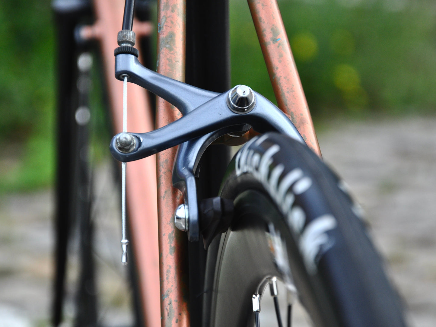 Bronzy Wheeler