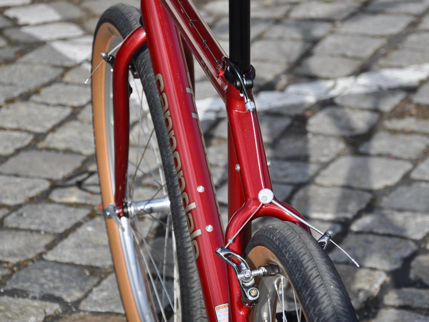 Mantis Cannondale