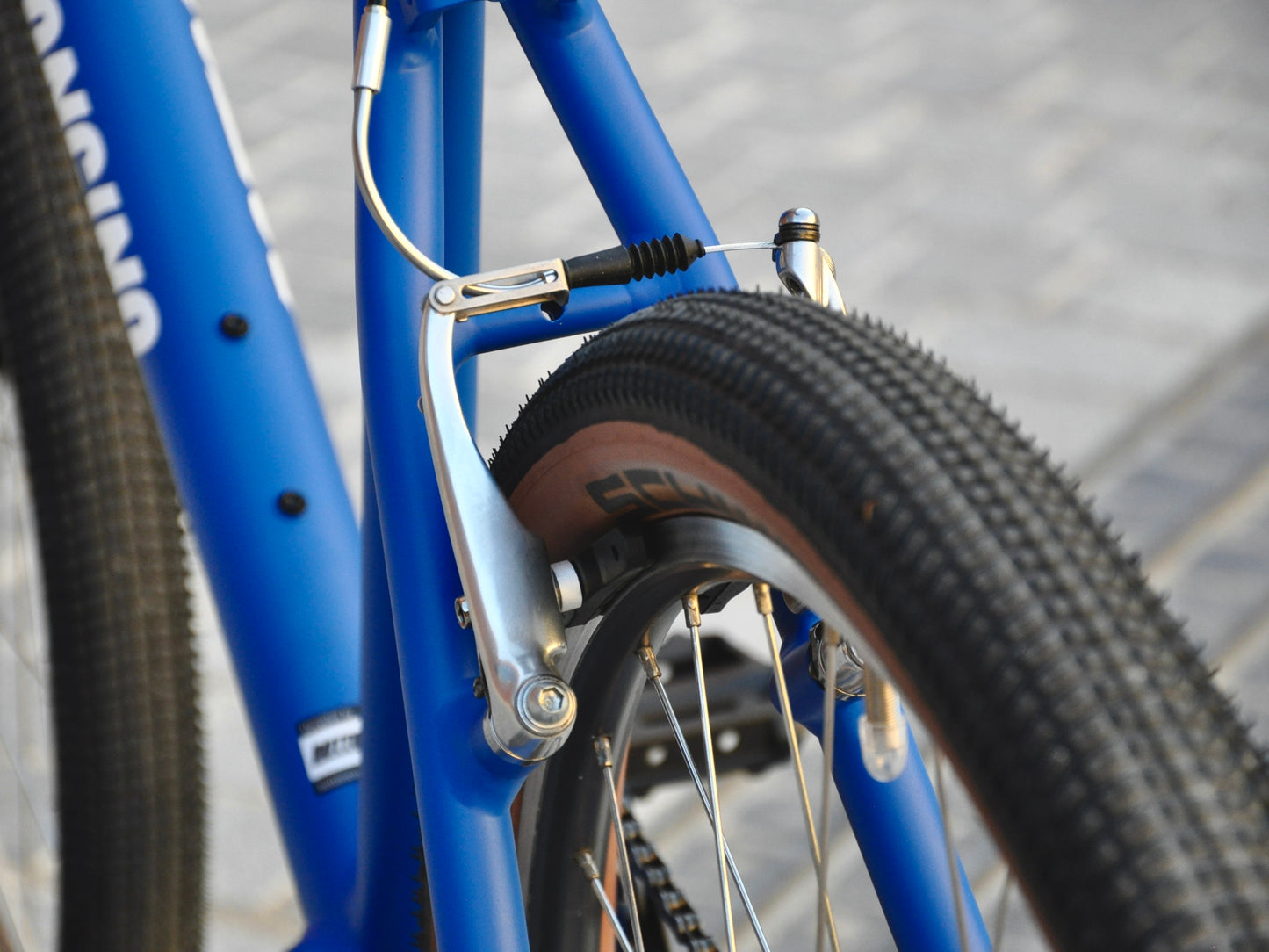 Azzurra Cannondale