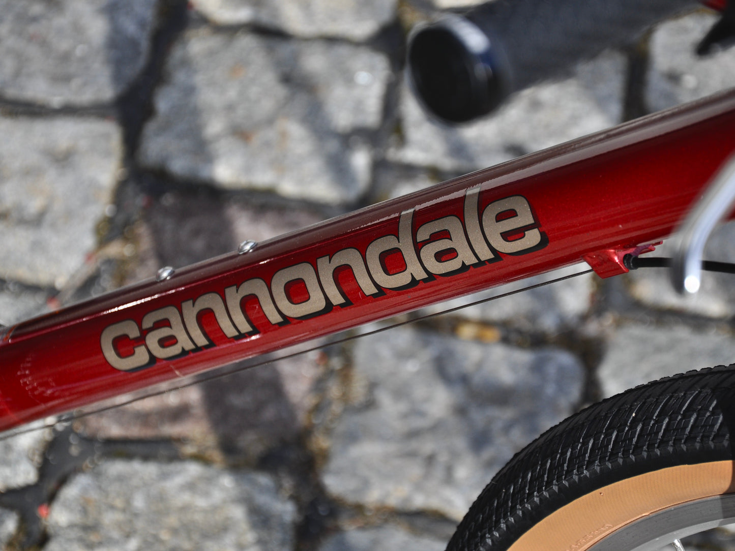 Mantis Cannondale
