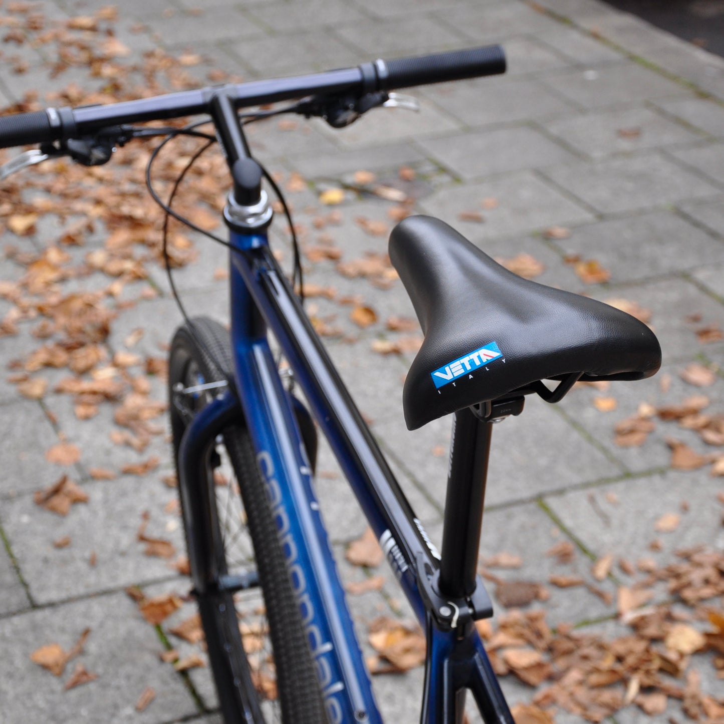 Beastie Cannondale