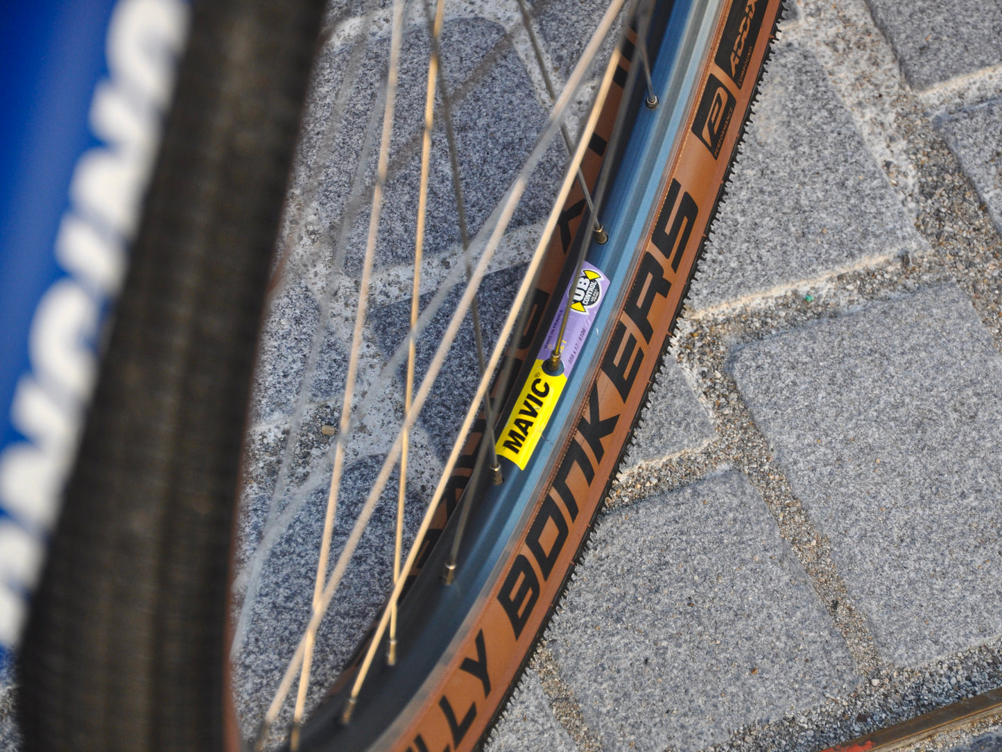 Azzurra Cannondale