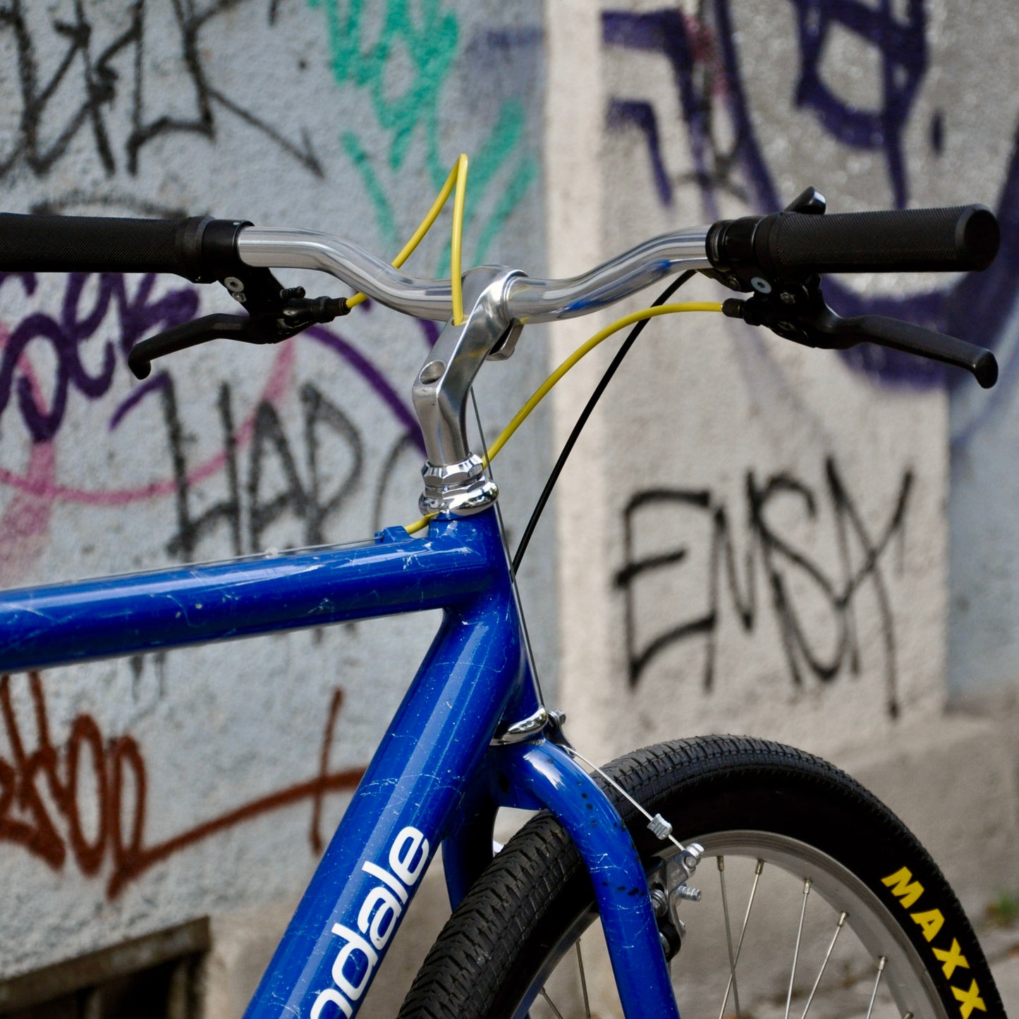 Skye Cannondale