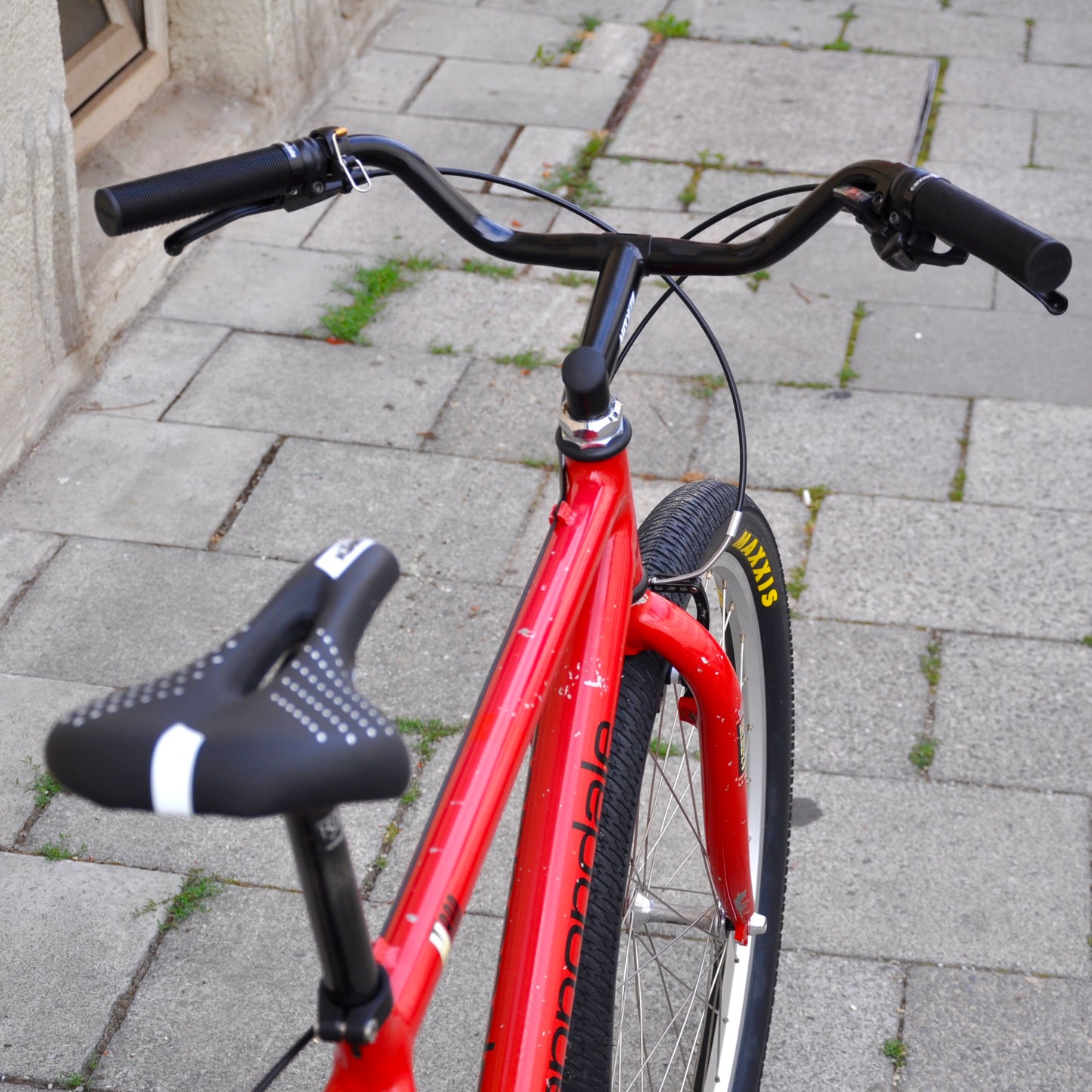 Callie Cannondale