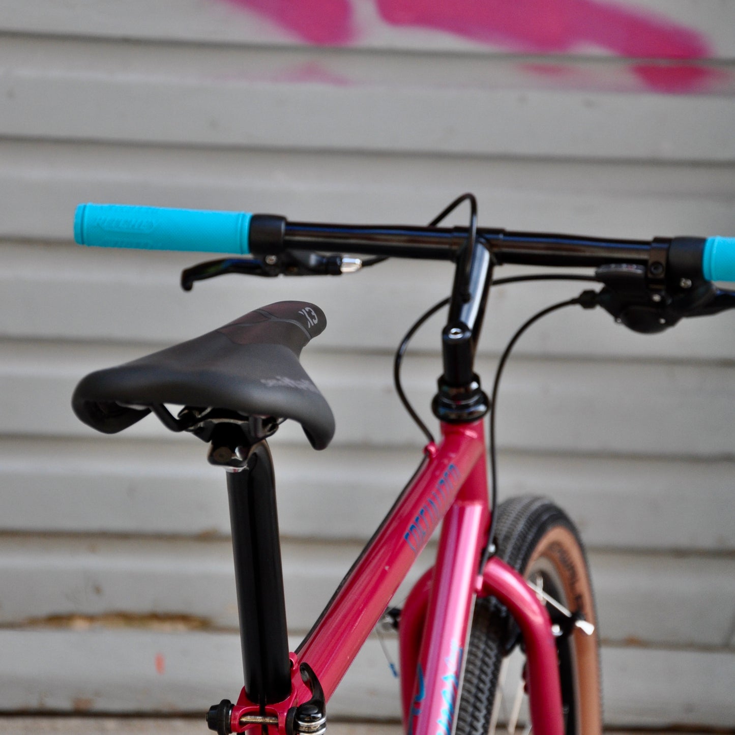 Stacy Stumpjumper