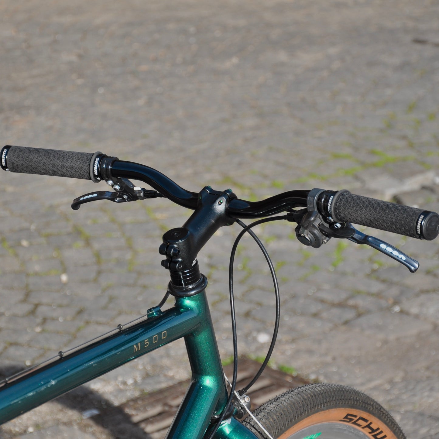 Cordula Cannondale