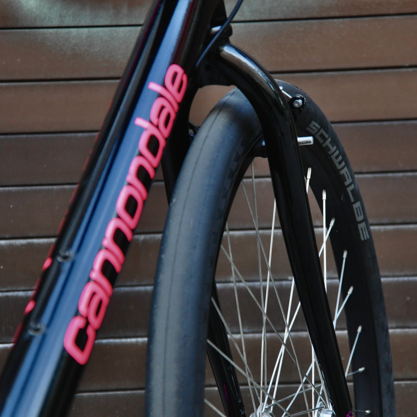 Barb Cannondale