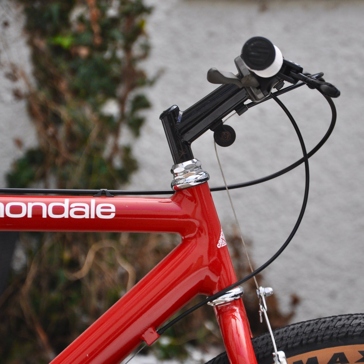 Pamela Cannondale