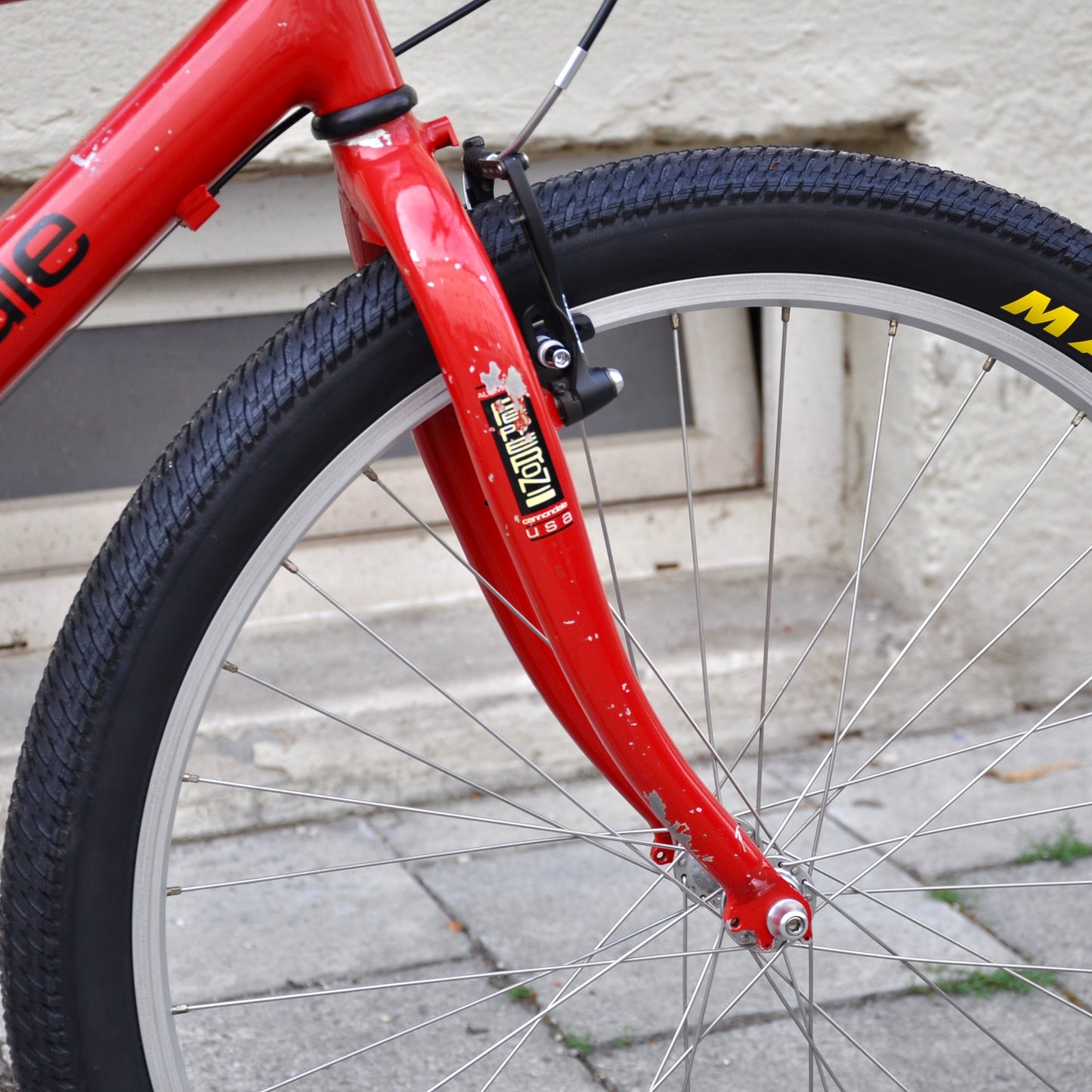 Callie Cannondale