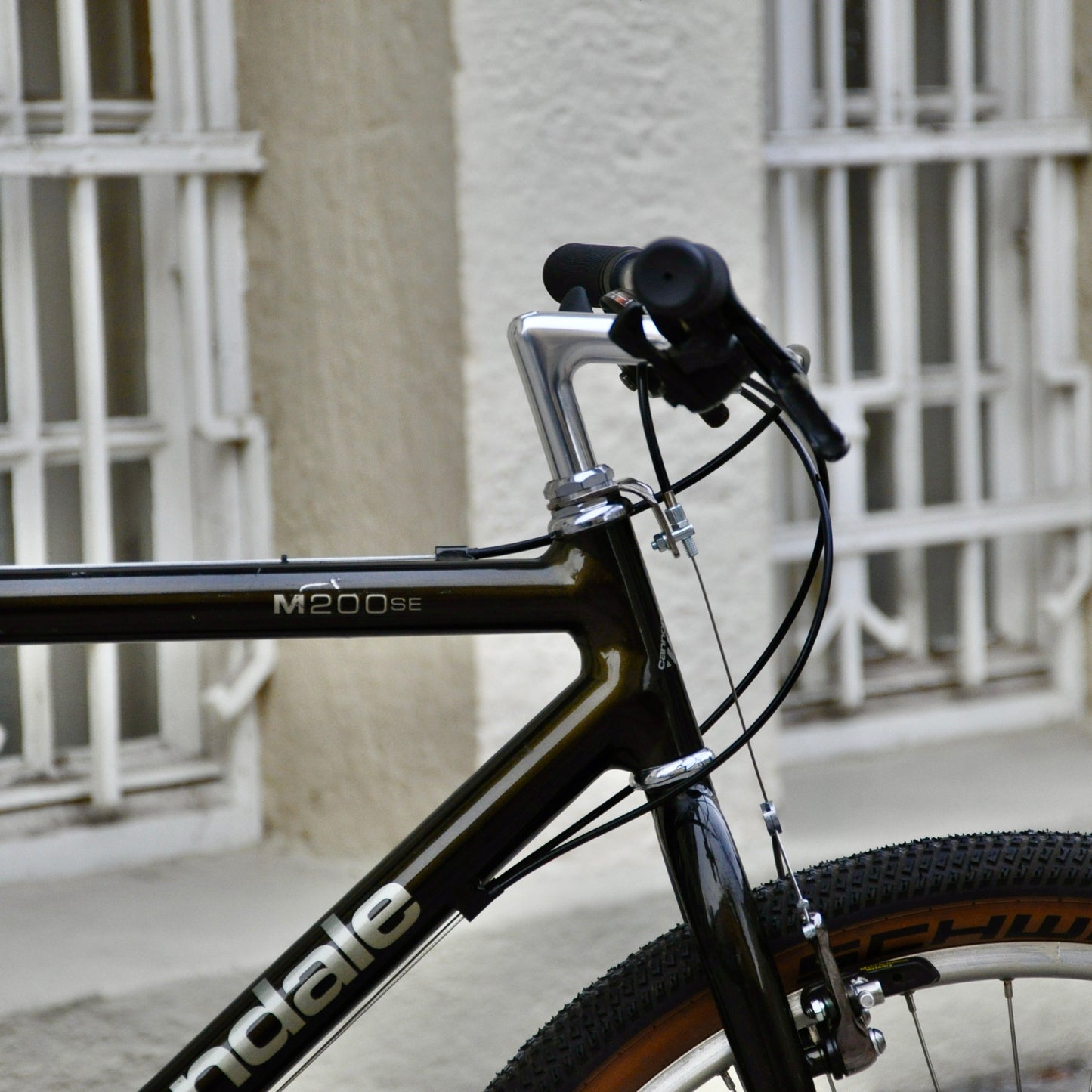 Goldie Cannondale