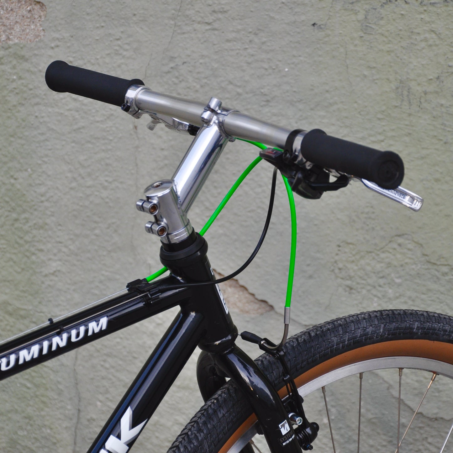 Trixy Trek