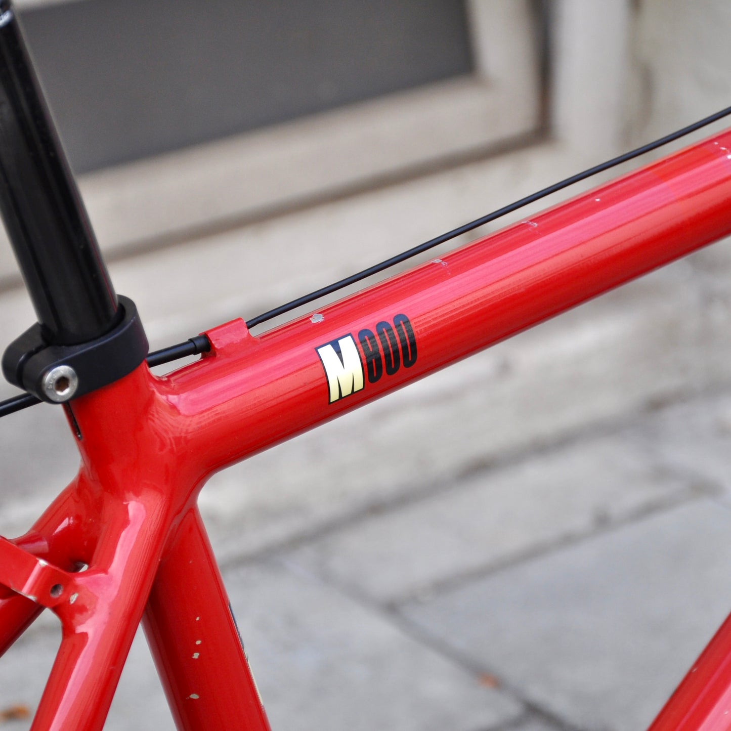 Callie Cannondale