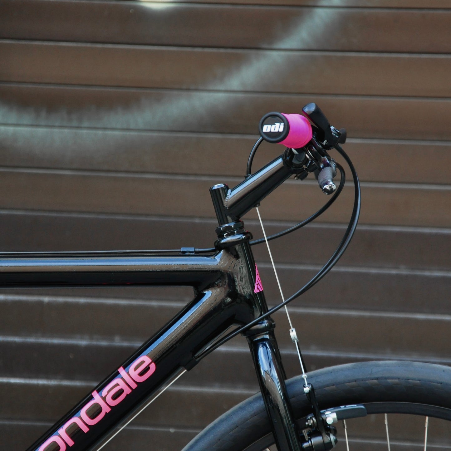 Barb Cannondale