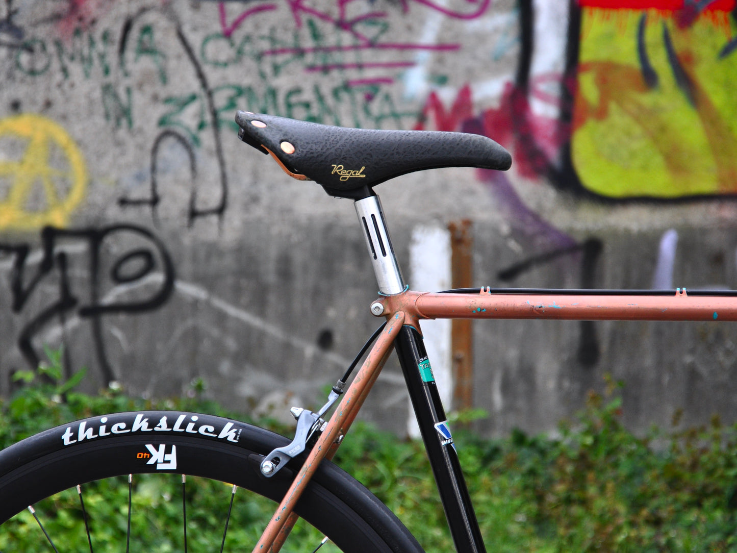 Bronzy Wheeler