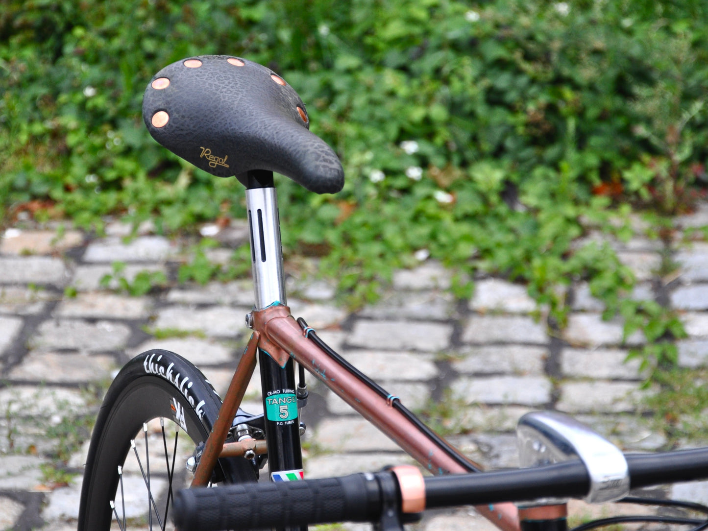 Bronzy Wheeler
