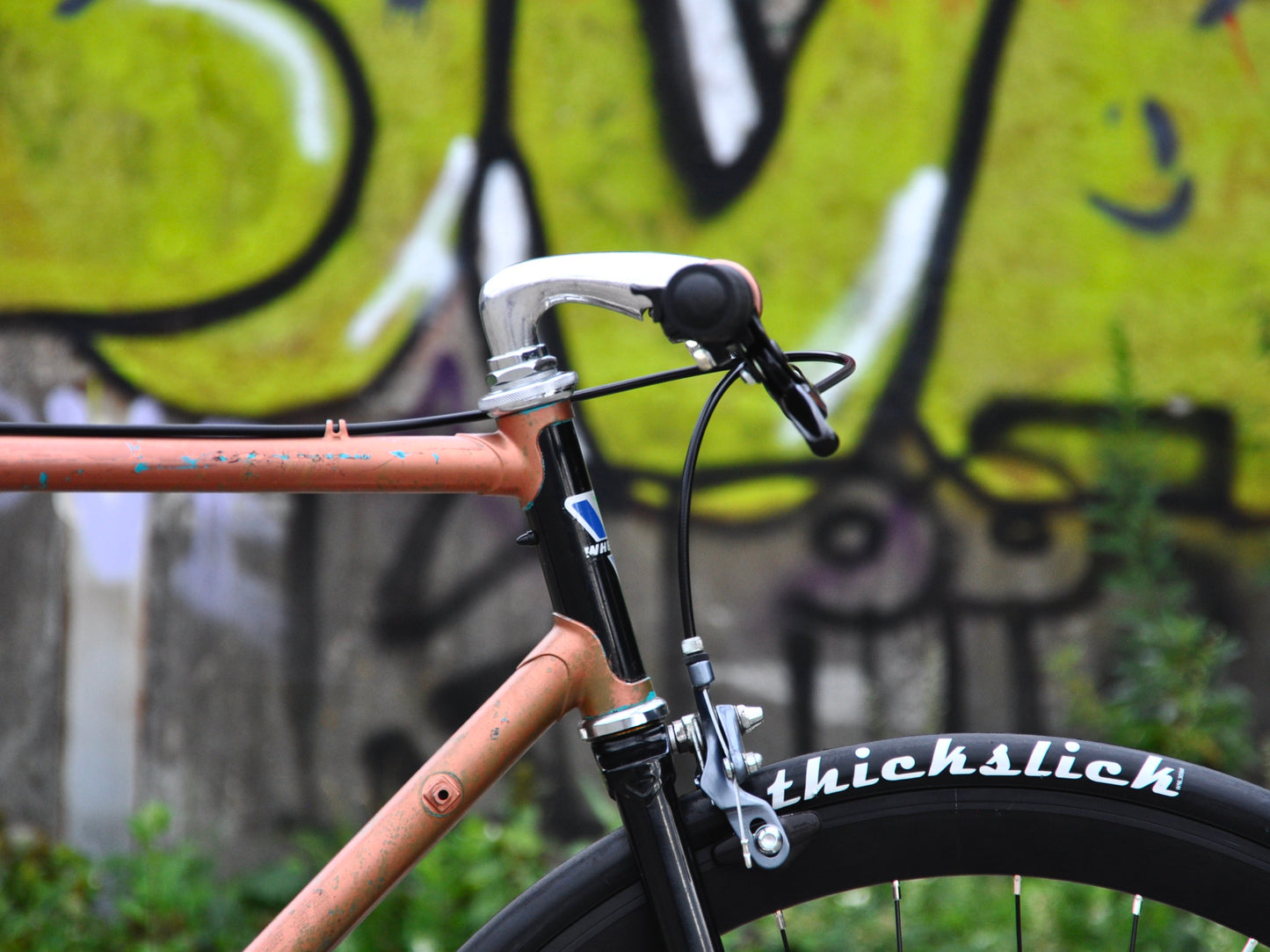Bronzy Wheeler