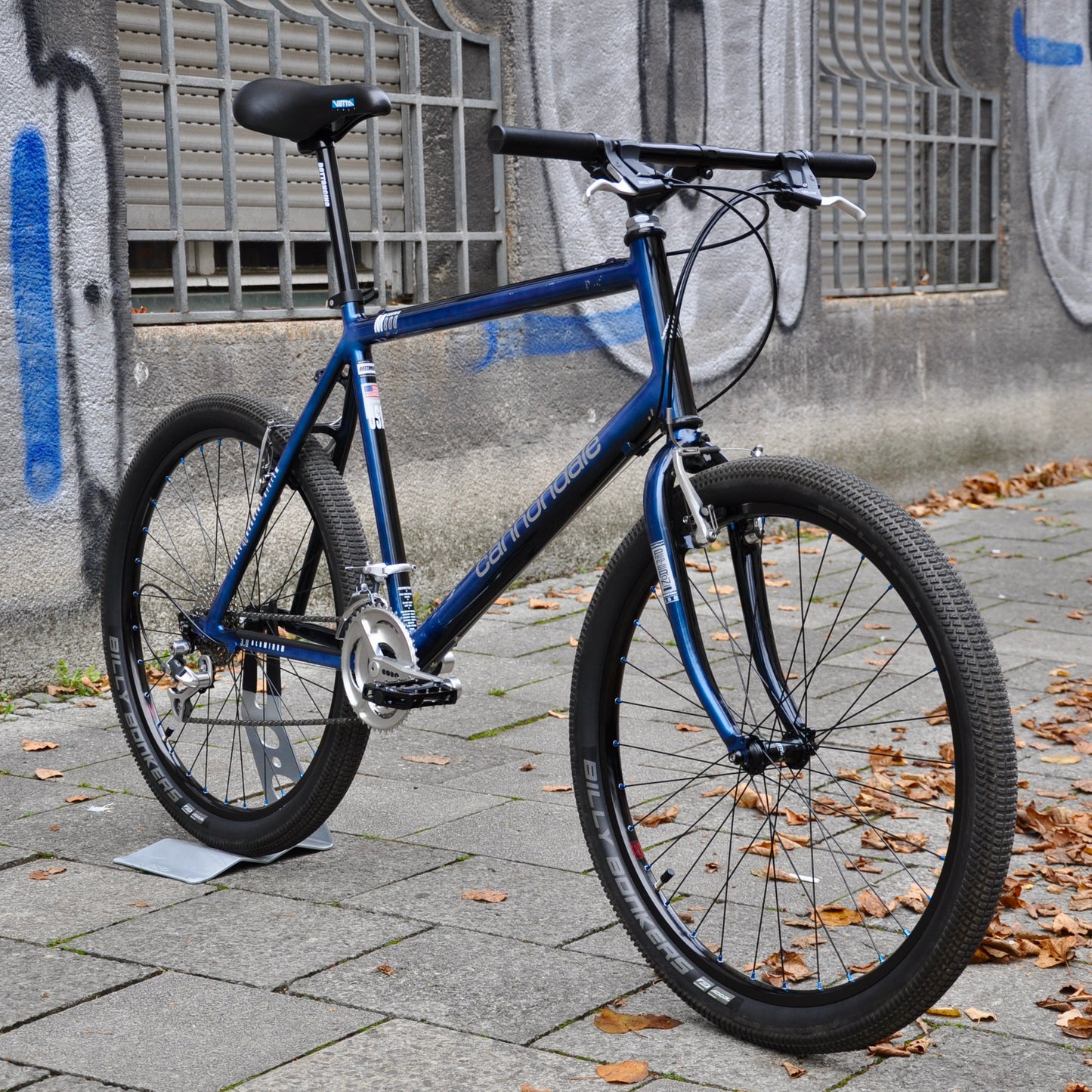 Beastie Cannondale