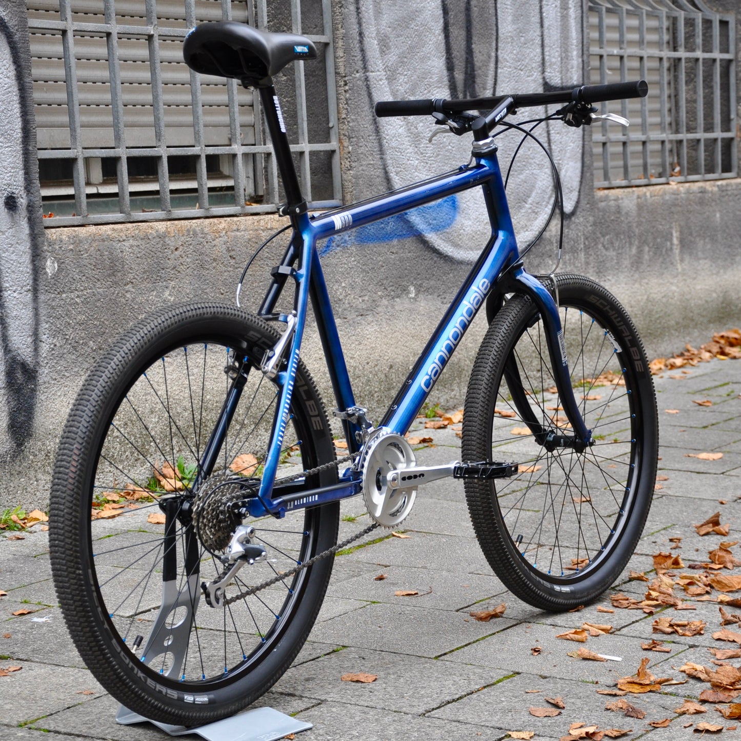 Beastie Cannondale