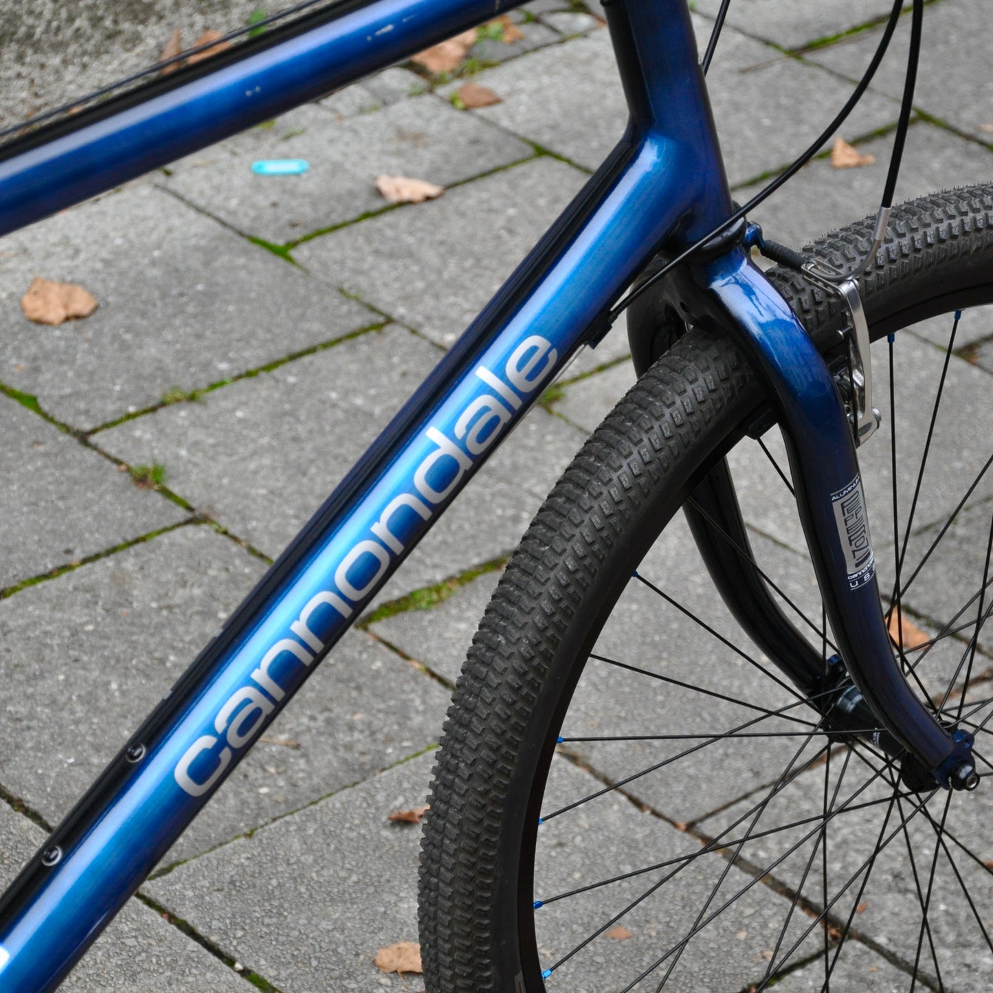 Beastie Cannondale