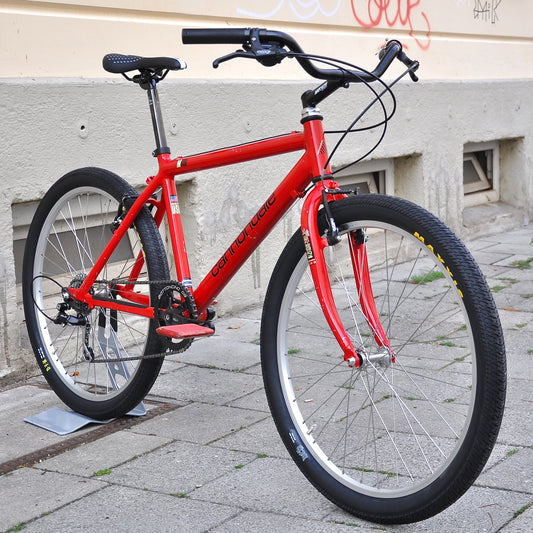 Callie Cannondale