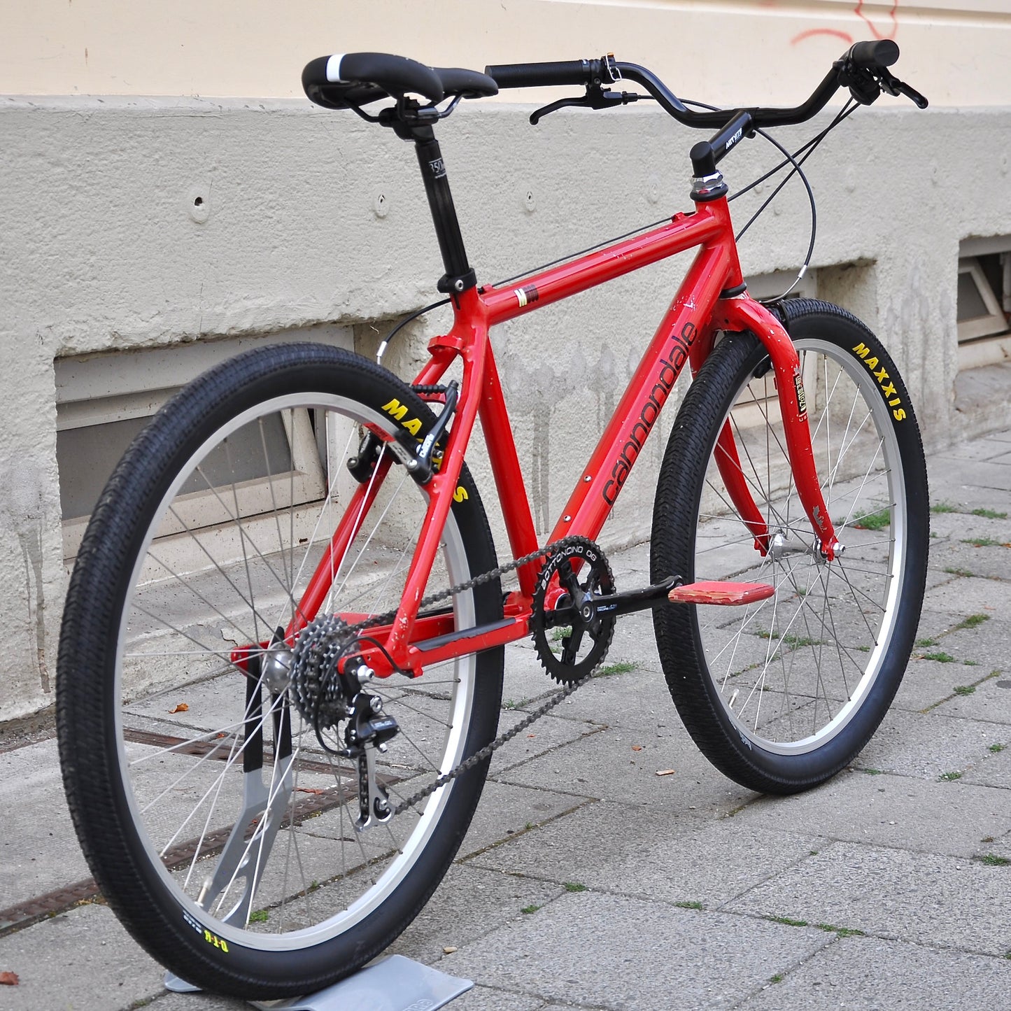 Callie Cannondale