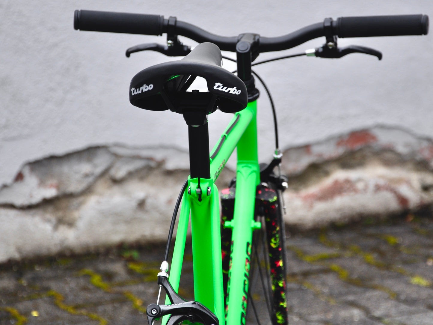 Goblin Bottecchia