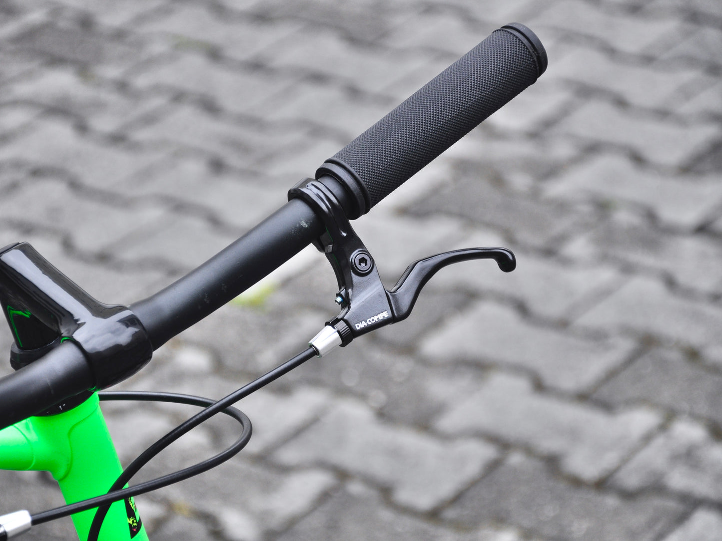 Goblin Bottecchia